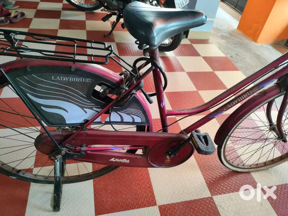 Used ladybird cycle