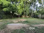 9.500 CENT PREMIUM ORGINAL DRY LAND LORRY ACCESS  PATTOM TRIVANDRUM