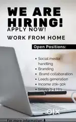 Online Business (Work From Home)