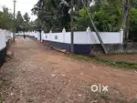 8 cent plot