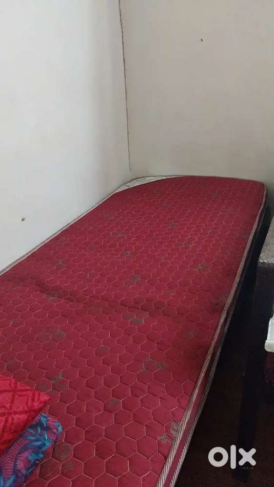 Fully furnished individual house
