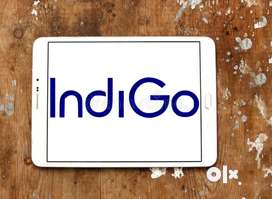 Now we are hiring IndiGo Airlines urgent hiring