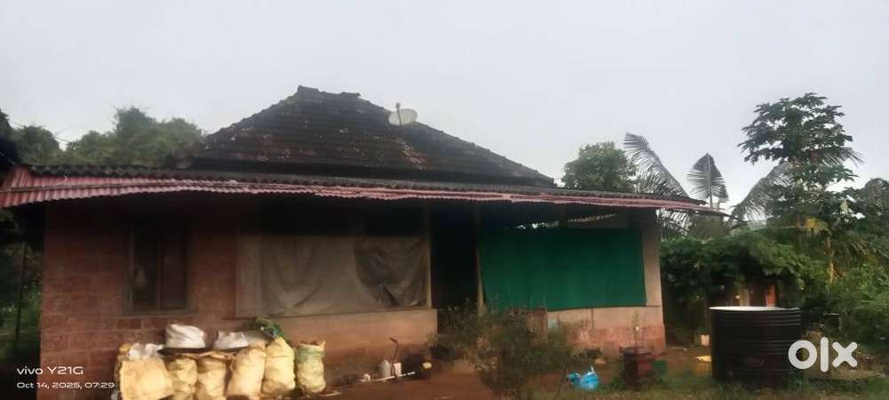 Agriculture land and house