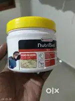 A19 hand feeding powder