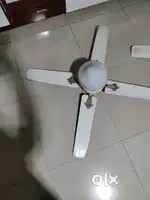 Ceiling fan