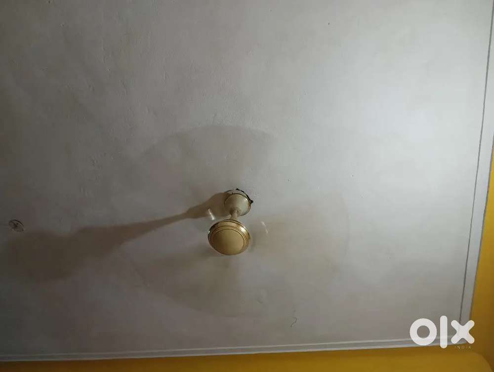 Fan hai urgent sell Krna h good condition