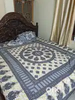 Roommate Required