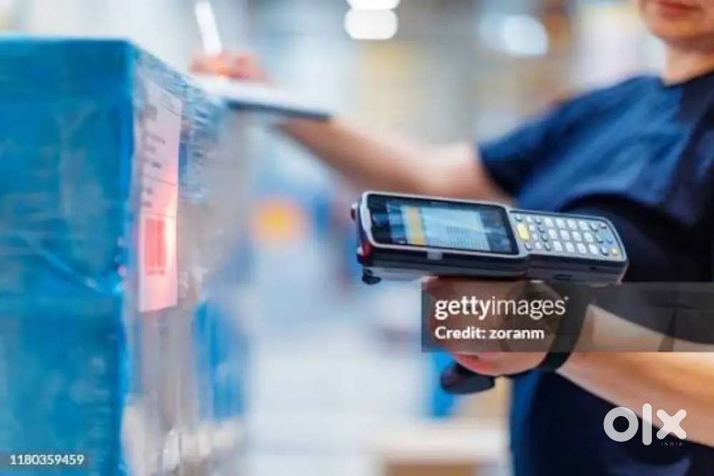 Wanted m/ f  warehouse packing [ day / night
