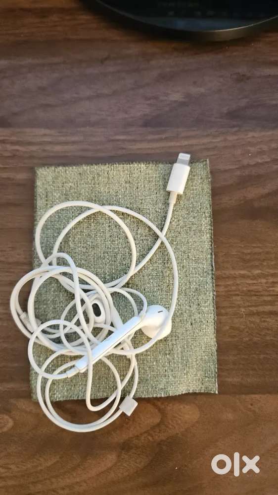 Apple Wired Earphones (Almost New)