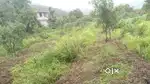 Excellent FarmHouse Plot for sale - Prime location