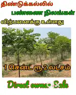 Kodeeswara farm land