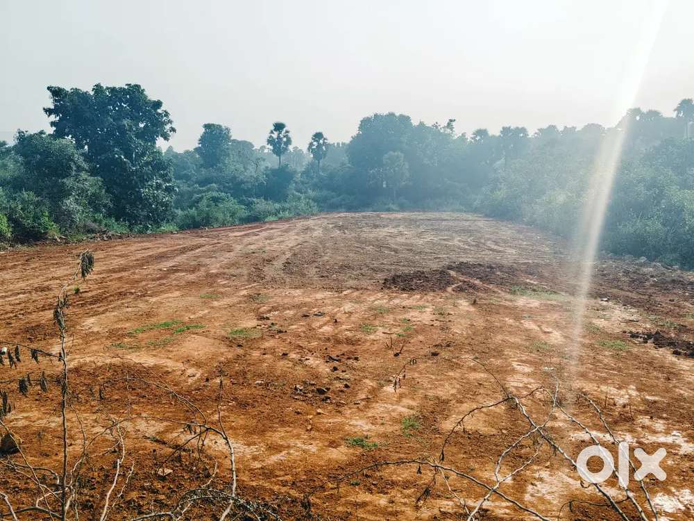 SALE PLOTS AT TAGARAPUVALSA