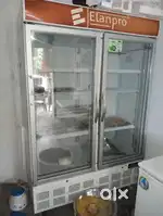 D Fride electric