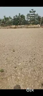 Land for lease for commercial purpose Morigaon main town