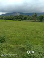 Farming plot area