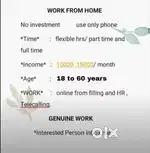 Online work from home