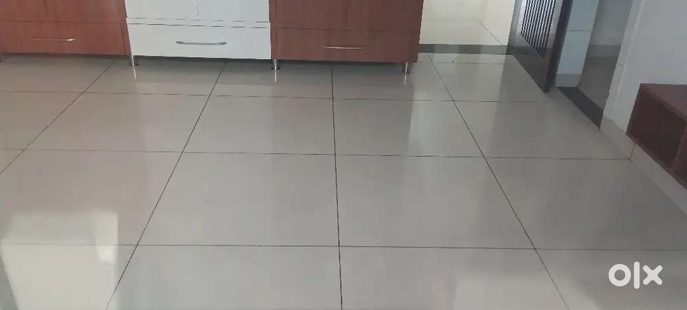 A new built apartment in sec 33 Hisar for rent