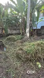പൂന്തുറ - അമ്പലത്തറ, കുമരച്ചന്തയ്ക്ക് പിറകിലായുള്ള 2.4 സെൻ്റ് സ്ഥലം