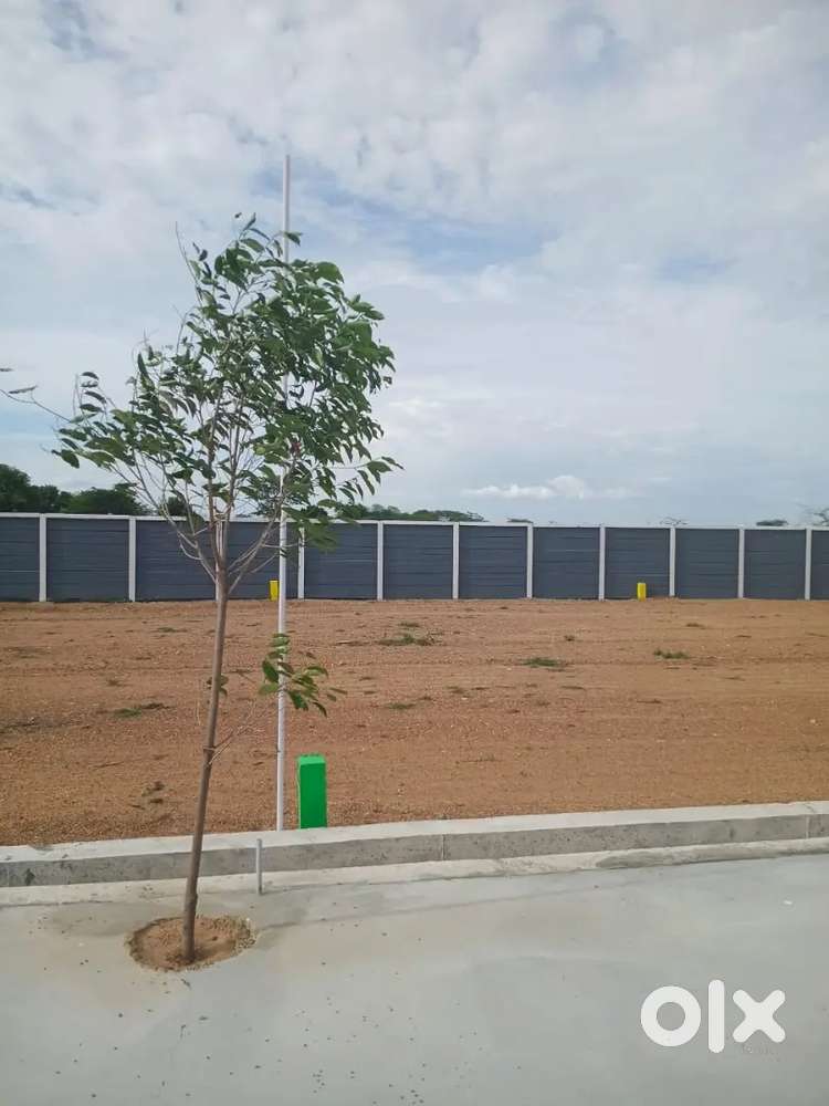Trichy to Madurai road (on road property )