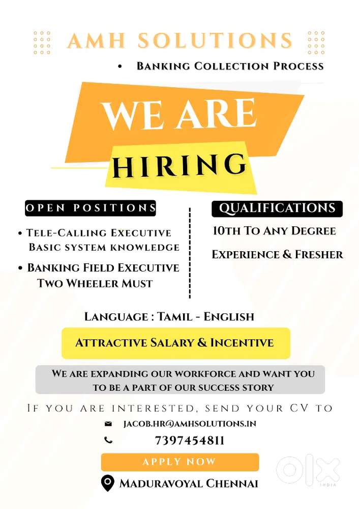 Collection Tellcalling /field executive