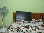 14 IBELL Company TV new for sale