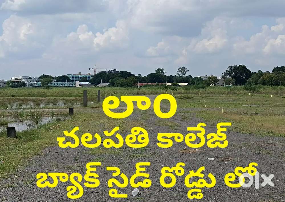 లకే గజo రేట్ 305 గజాల ప్లాట్ లామ్ చలపతి కాలేజ్ అమరావతి  రోడ్డు