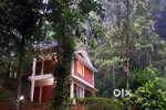 Front Office assistant ,service staff for small hotel ,Munnar areannar