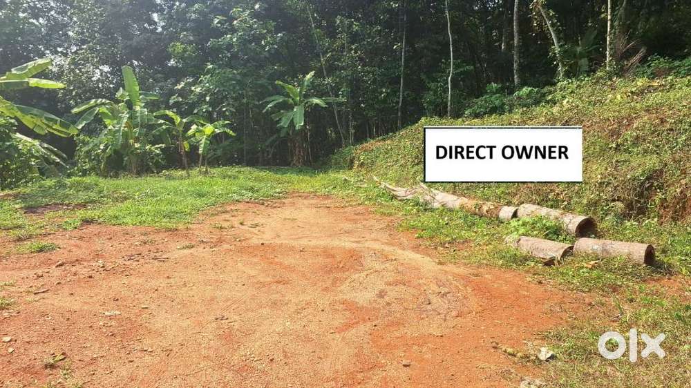 15 Cent land for Sale Mutholy kadavu Cherpunkal