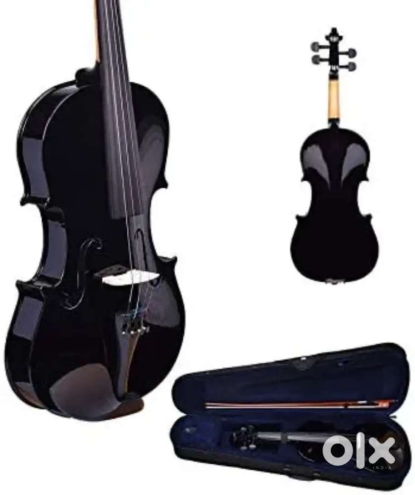 Violin musical instruments