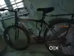 Bicycle cosmic co