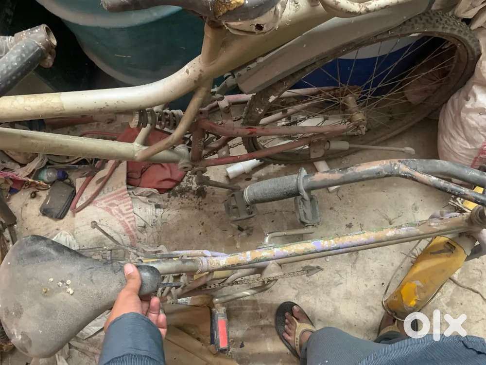 Small and big cycle for sale