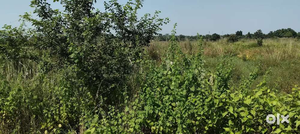 Plot for sale at anad vihar near vastu vihar