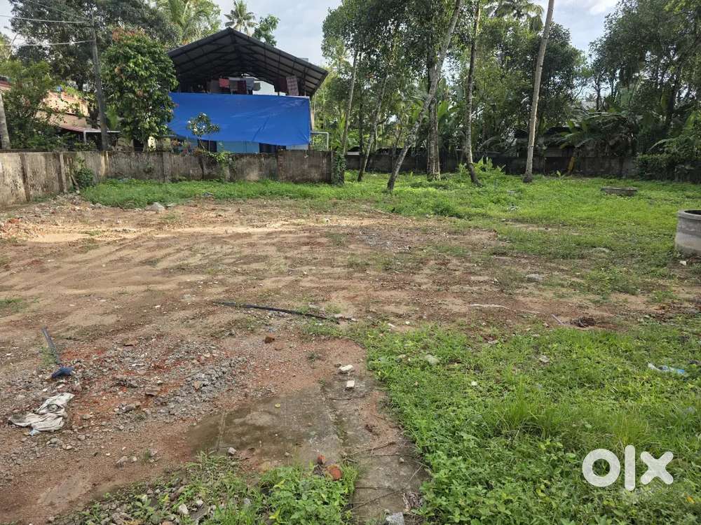 21 സെന്റ് കൊച്ചമ്മൻ നട ക്ഷേത്രത്തിന് സമീപം.Just150 Meter From Bus way