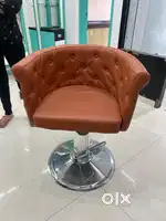 Salon Chair