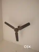 Ceiling fan sale