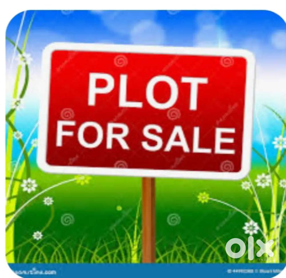 Patte suda plot sale karna hai