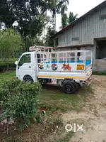 Rajib borah