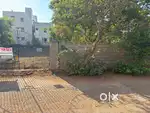 Site for sale, Nellore, Padarupalli
