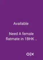 Need a female room mate