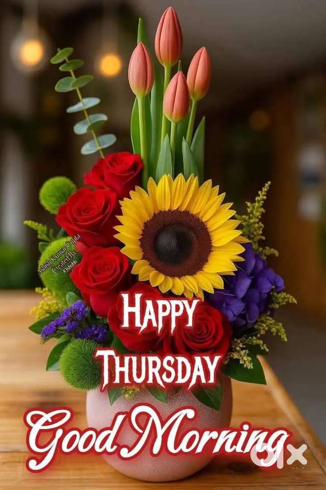 Single room for rent