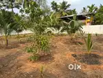 നെടുമ്പ്രക്കാട് 7 സെന്റ് സ്ഥലം