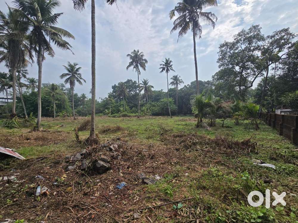 55Cent Residential Commercial Land for Sale Varapuzha