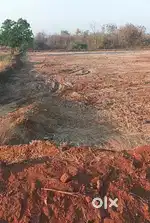 Agriculture land for sale