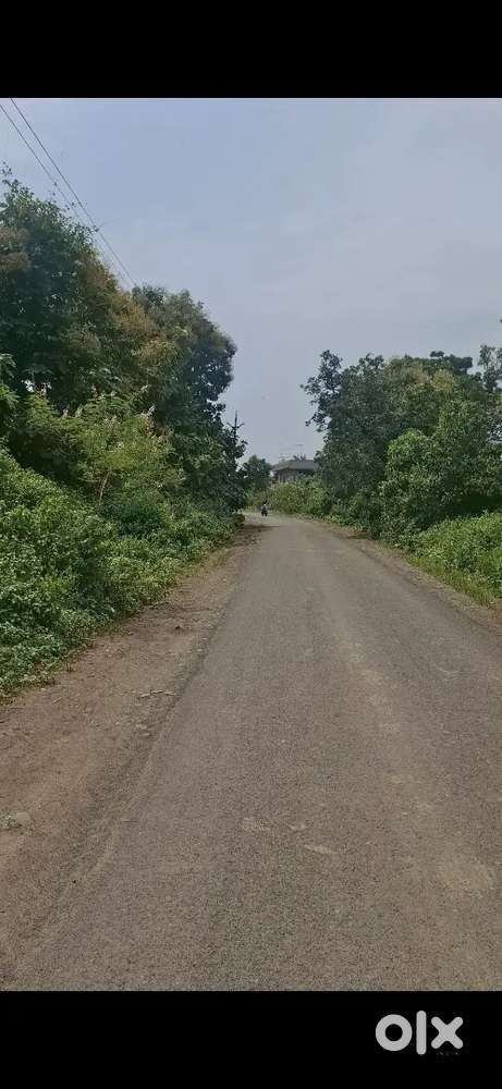 6000 sf plot Gram Panda tahsil rau