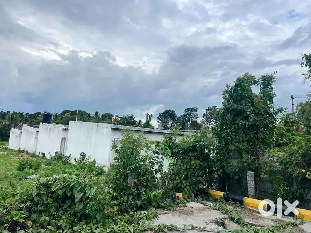 DC CONVERSATION individual e katha