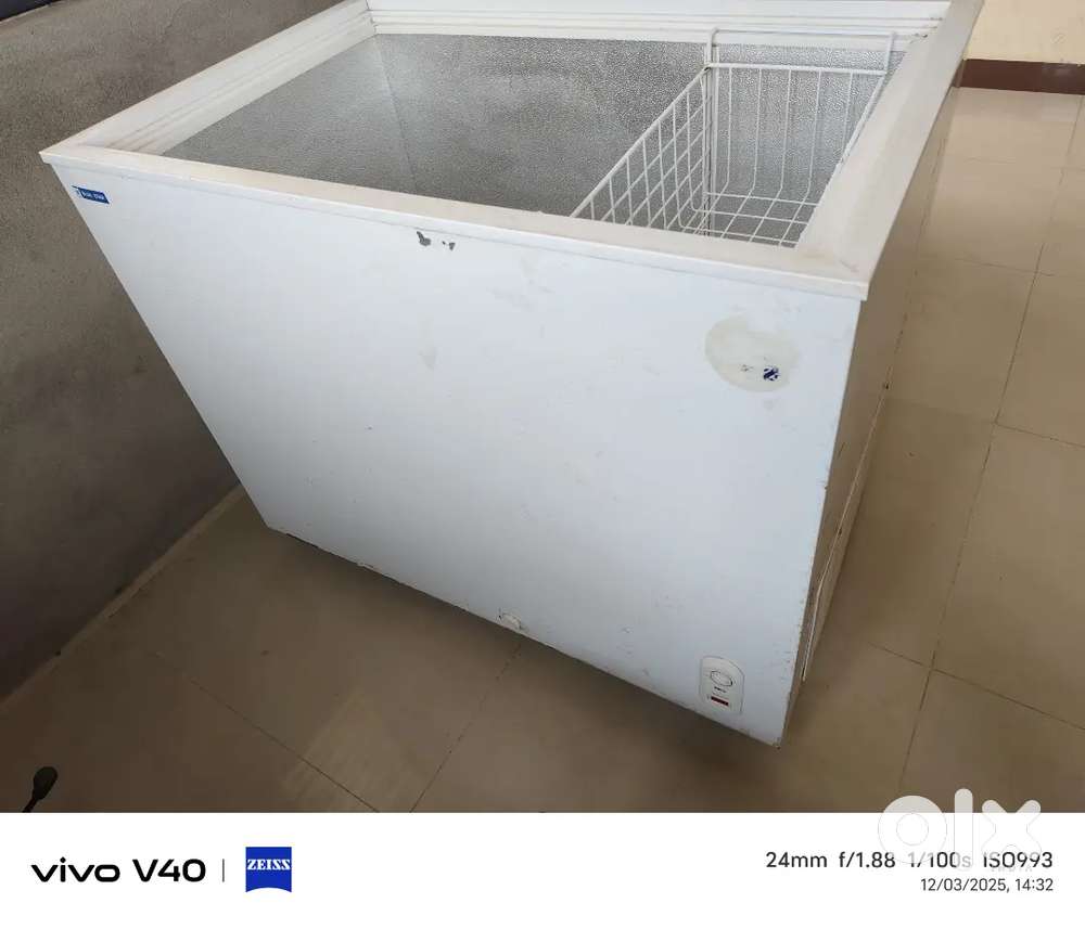 Deep freezer blue star