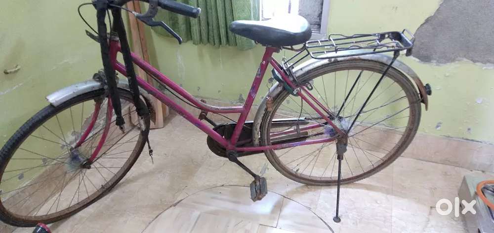 Ladies cycle