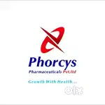 Business Development Executive