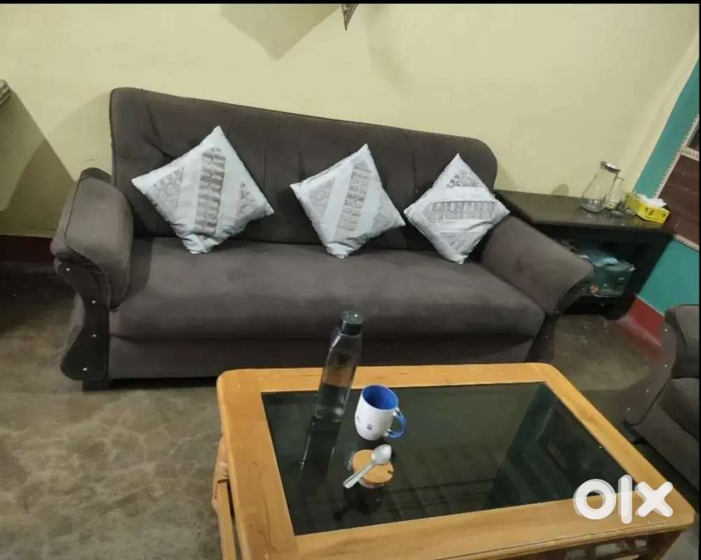 Sofa set with sagwan wood table