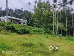 24 Cent Plot for Sale in Meenangadi Wayanad